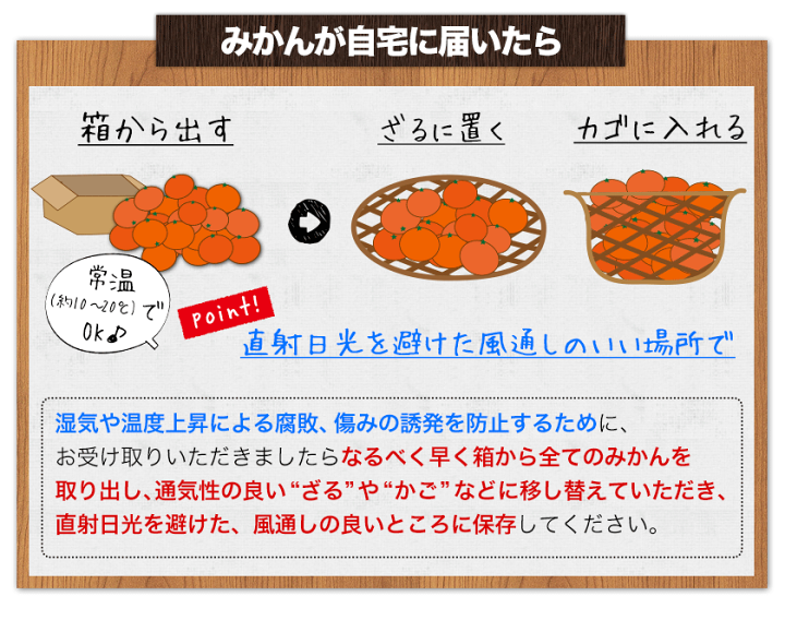 楽天市場】みかん 訳あり 送料無料 熊本 ミカン 大玉 小玉 不選別 規格