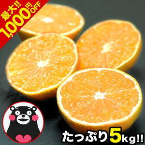【2セット購入で1,000円OFF】 熊本 みかん 1セット 5kg 規格外 訳あり 送料無料 フルーツ 訳ありみかん 温州 家庭用 果物 柑橘 九州 産地直送 食品 品種 取り寄せ 通販 スイーツ《11月上旬-11月下旬頃より順次出荷》【0813】