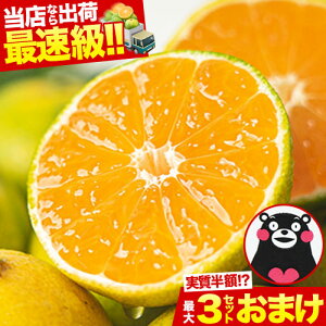 y10/4 20灚Jn2Ԍ50OFFN[|gIz F{ ݂ 1.5kg 󂠂  2Zbgw1Zbg܂ ~J   sI KiO ʕ k B  1.5kg 10kg 10L