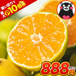 _Ń|Cg10{^ y2Zbgȏő 3Zbgȏł܂ʁz F{݂ 󂠂 ݂1.5kg KiO   sI ƒp k F{Y ܂ƕys1-5cƓȓ