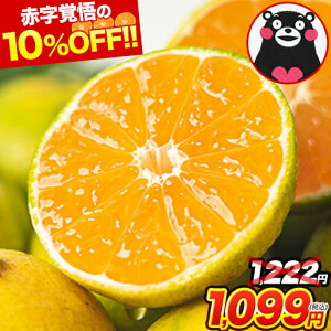 【★期間限定!10%OFF★】\3セット購入なら実質半額!おまけ増量中/ 熊本 みかん 1.5kg 訳あり 送料無料 ミカン 大玉 小玉 不選別 規格外 果物 柑橘 九州 蜜柑 1.5kg 10kg 10キロ 以下 みかん箱