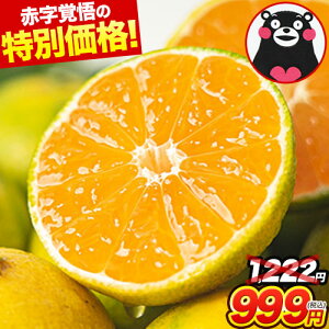 【★今だけ衝撃値引き★1,222円⇒999円】\3セット購入なら実質半額!おまけ増量中/ 熊本 みかん 1.5kg 訳あり 送料無料 ミカン 大玉 小玉 不選別 規格外 果物 柑橘 九州 蜜柑 1.5kg 10kg 10キロ 以