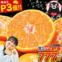 ＼今ならP3倍★旬真っ盛りキャンペーン／【D/P会員様はクーポンで777円】訳あり 熊本 みかん 2セット以上で送料無料 3セット以上でおまけ増量 1.5kg 規格外 大玉 小玉 不選別 家庭用 柑橘 熊本県産 くまもと風土 《3-7営業日以内に出荷予定（土日祝除）》|