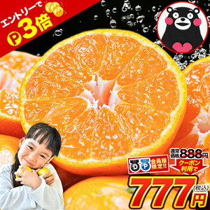 y12/1 0Gg[P3{̃`XzyD/Pl̓N[|777~z 󂠂 F{ ݂ 2Zbgȏő 3Zbgȏł܂ 1.5kg KiO  sI ƒp k F{