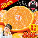 【ライブ視聴＆エントリーでP5倍】訳あり 熊本 みかん 2セット以上で送料無料 3セット以上でおまけ増量 1.5kg 規格外 …