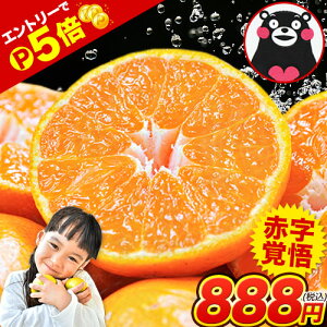 yCuGg[P5{z󂠂 F{ ݂ 2Zbgȏő 3Zbgȏł܂ 1.5kg KiO  sI ƒp k F{Y yVX[p[SALEs7-14cƓȓɏo