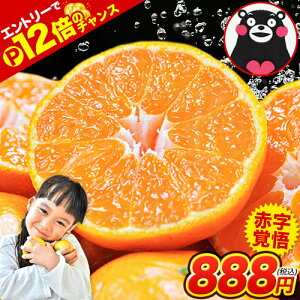 yXg8ԁz_Gg[ŁőP12{111:59܂Ł^󂠂 F{ ݂ 2Zbgȏő 3Zbgȏł܂ 1.5kg KiO  sI ƒp k F{Y yVX[p[SA