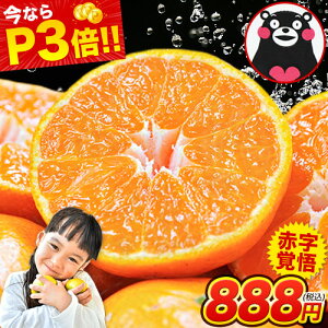 y80Ԍ聚P3{z󂠂 F{ ݂ 2Zbgȏő 3Zbgȏł܂ 1.5kg KiO  sI ƒp k F{Y s1-5cƓȓɏoח\iyjjt|