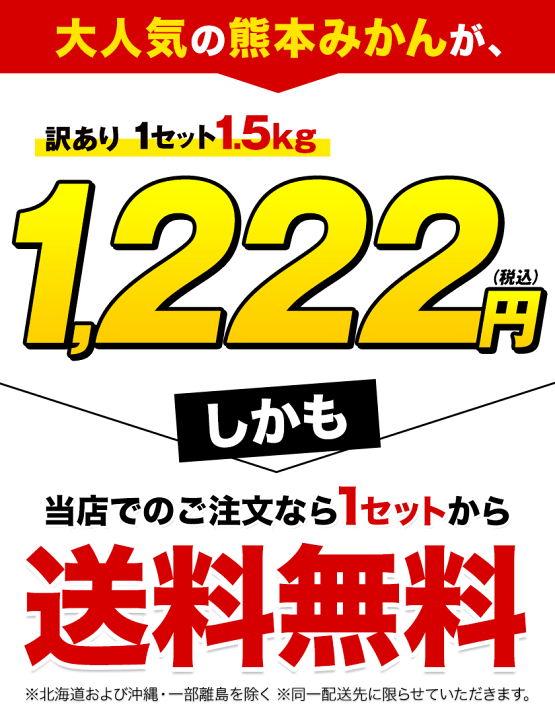 楽天市場】＼3セット購入で実質半額！おまけ増量中／ 熊本 みかん 1.5