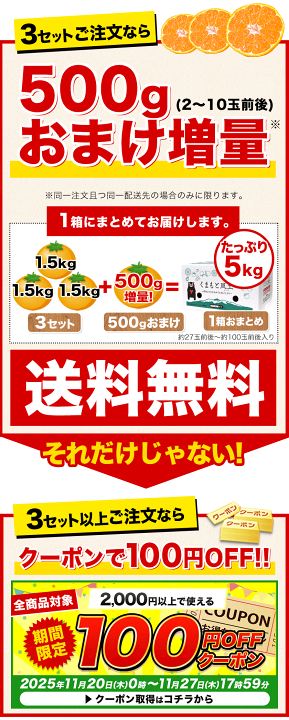 ☆12000円まで毎日100円ずつお値引き☆未使用☆AMERI☆☆☆ 楽天市場】【☆3セット購入でP12倍のチャンス☆】【D/P会員様は