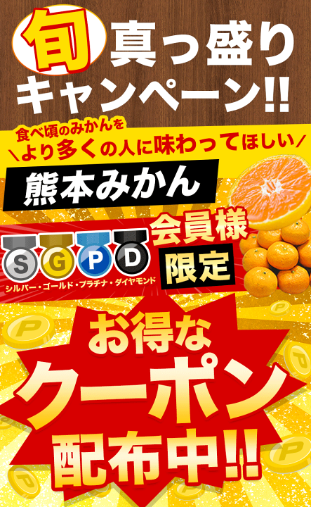 ダビさん 専用 送料 TOSHIBA 【搬入・標準設置費込】ドラム式 洗濯乾燥機 洗濯機 12kg 東芝
