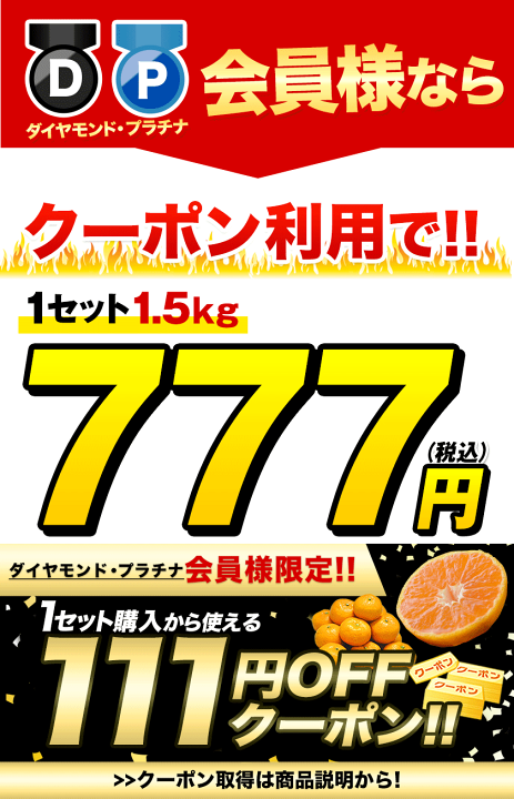 楽天市場】【☆3セット購入でP12倍のチャンス☆】【D/P会員様は