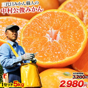 yN[|400~OFFIz3 ݂El  r ݂ Ղ 5kg   F{Y S-LTCY YҁFr B ʕ k Yn Hi   i 