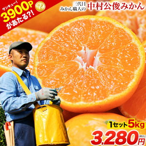 �y�G���g���[��3900P������I�H�z3��� �݂���E�l ���� ���r����� �݂��� �����Ղ� 5kg ���� �������� �F�{���Y S-L�T�C�Y���� ���Y�ҁF�������r���� ���B �ʕ� ���k �Y�n���� �H�i ���� �� �i