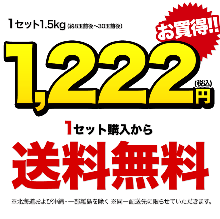 楽天市場】ポンカン 訳あり 1.5kg 送料無料 【複数購入で最大+4.5kg