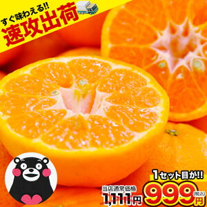 【クーポンで1セット目が1,111円⇒999円】【速攻出荷】 甘熟 ポンカン 訳あり 1.5kg 送料無料 熊本県産 旬 の みかん ※複数購入の場合1箱におまとめ配送 2セット購入で1セット分、3セット購入なら3セット分のW増量《1-5営業日以内に順次出荷(※土日祝日除く)》【1207】