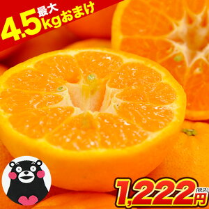 y2Zbgw100~OFFz|J 󂠂 1.5kg  ywōő+4.5kg܂tz F{Y { ݂ ~J 2Zbgw1Zbg k { F{ ƒp  |JF