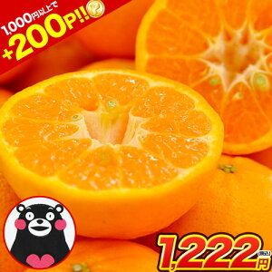 yGg[200PҌ&2Zbgw100~OFFz|J 󂠂 1.5kg  ywōő+4.5kg܂tz F{Y { ݂ ~J 2Zbgw1Zbg k { F{ ƒ