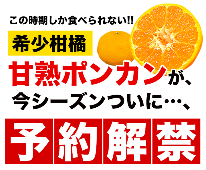 楽天市場】◎ポンカン 訳あり 1.5kg 送料無料 【複数購入で最大+4.5kg