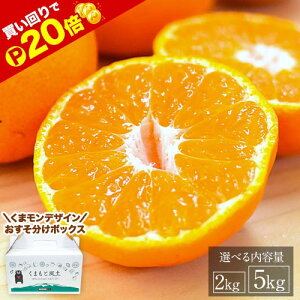 y11/1͔P20{zv~A F{ ݂_ ZT[Iʂ̃v~A݂^ Iׂe 2kg 5kg 2L`2S TCY  ~J   ʕ k B 10kg 10L ȉ ݂ 