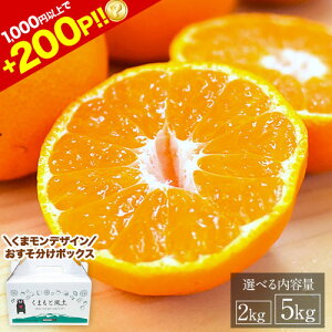 y10P5{&Gg[200PҌN[|100~OFFzv~A F{ ݂ ZT[I Iׂe 2kg 5kg 2L`2S TCY  ~J  k 10kg 10L ȉ ݂ 