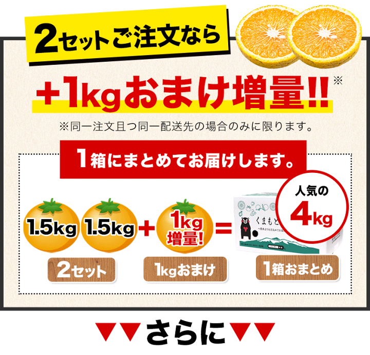楽天市場】【2セット購入でおまけ増量】スイートスプリング 1.5kg 2