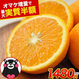 【在庫限りで再販中!!】 スイートスプリング 1.5kg 訳あり 熊本県産 送料無料 旬 の みかん 熊本産 取り寄せ 通販 (3L〜Sサイズ/3L-S混合) 2セット購入で1セット分、3セット購入なら3セット分増量 《7-14営業日以内に出荷予定（土日祝除く）》