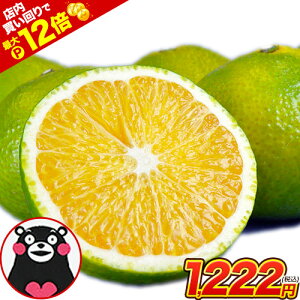 yXPő12{zy2Zbgwł܂ʁzXC[gXvO 1.5kg 2Zbgw1kg 3ZbgwȂ3kg܂ 󂠂 F{Y  {  ݂ F{Y  (3