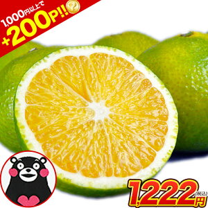 yGg[200PҌ!!&2Zbg100~OFF{܂ʁzXC[gXvO 1.5kg 2Zbgw1kg 3ZbgwȂ3kg܂ 󂠂 F{Y  {  ݂ F{Y  ʔ (3L