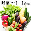 自家用野菜セット【送料無料】九州（熊本）の安心・安全★旬の野菜を たっぷり12品 お取り寄せ お取り寄せグルメ《配送予定に記載の日程でお届け》