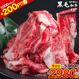 y10P5{&Gg[200PҌȂ甼zzјa ؂藎Ƃ ܐ؂  K 500g ֗ ^pbN BY Y Ԑ؂ א؂    a Ef  ܂