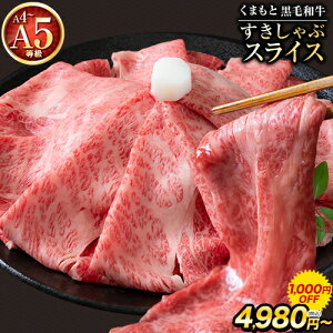 yȂ灚1000~OFFzMtg ܂ јa  XCX 500g ~ Ԑg ؂藎Ƃ [X Ă  Ԃ   a NV^ A5 A4 yVX[p[SALE sz\