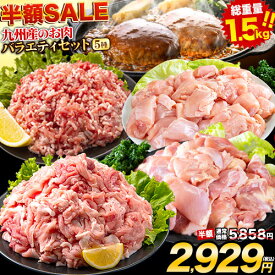 【半額★5858円→2929円】総重量1,520g 九州産 肉 5種 バラエティ セット 豚肉 鶏肉 ハンバーグ 大容量 お肉 セット 福袋 豚 切り落とし ミンチ 国産 若鶏 モモ肉 むね肉 デミグラス 楽天大感謝祭《配送予定に記載の日程でお届け》 |