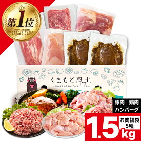 総重量1,520g 九州産 お肉 福袋 5種入り 豚肉 鶏肉 ハンバーグ 大容量 お肉 セット 福袋 豚 切り落とし ミンチ 国産 若鶏 モモ肉 むね肉 デミグラス 《配送予定に記載の日程でお届け》 |