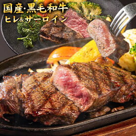 黒毛和牛 サーロイン ヒレ ステーキ 2枚セット 450g 送料無料 九州産 サーロインステーキ 300g ヒレステーキ 150g ステーキ肉 国産 ステーキ ヒレ肉 和牛 ステーキセット 《7-14営業日以内に出荷予定(土日祝除く)》