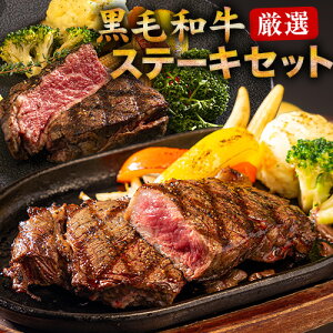 јa T[C q Xe[L 2 450g  BY T[CXe[L 300g qXe[L 150g Xe[L Y q a Xe[LZbg sz\ɋLڂ̓ł͂t