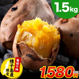 さつまいも 種子島 産 訳あり 安納芋 1.5kg 約5kg 約10kg 送料無料 焼き芋 冷凍芋 長期熟成 蜜芋 さつま芋 スイーツ サツマイモ (大中小不揃い) 焼き芋 《11月中旬-12月上旬頃発送予定》|