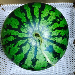 yIʗ 󂠂菤iz F{   1  6Kgȏ KiO ƒp s Hp (002) Z F{Y ʕ t[c 傫