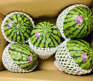 �F�{���Y ���ʂ����� 5�� ������ ��7.5Kg M�T�C�Y�ȏ� ��A�D�i (001)���ʐ��Z �F�{���Y �ʕ� �t���[�c �M�t�g �v���[���g�p �y�o�C���[�������i�z
