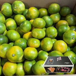 F{Y ݂  STCY3LTCY TCYs ɑ݂ ݂ B݂  Ȃǁ@t[c k ʔ fUCύX