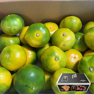 F{Y ݂ Gi  MTCY TCYwy001zɑ݂ ݂ B݂  Ȃ F{ F{Y ʕ { t[c k ʔ