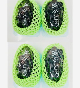 yIʗ 󂠂菤iz Y BY sI[l ݁y003zN[① KiO ƒp s Hp ʕ F{   t[c sI[l Ԃǂ Ԃǂ Ȃ