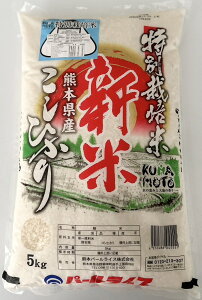 VNxY  F{Y Ђ p[CX ʍ͔| 5kg   Pꌴ   F{ pbP[WύX