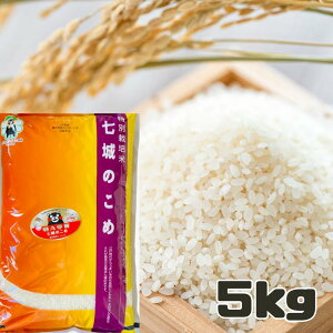  F{Y ̕ 5L ʍ͔| ܂Ƃ̕ VNxY  Pꌴ   F{ pbP[WύX