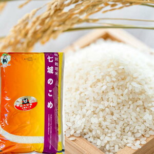 F{Y ā@̕ 5L×2 ʍ͔| ܂Ƃ̕ĐVNxY  Pꌴ   F{ pbP[WύX