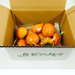 yIʗ 󂠂菤iz BY `  1.2kg KiO ƒp s Hpy002z` Ê`  킹  H B F{ 