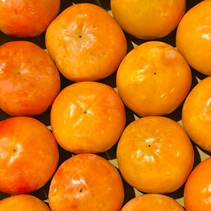 yKiO 󂠂菤izF{Y xL` 󂠂 ݁y003zTCY3L-S@F{ Y ƒp KiO ƒp s Hp ʔ