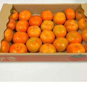 yKiO 󂠂菤izF{Y xL` 󂠂  3L ȏy003zTCY3L-S@F{ Y ƒp KiO ƒp s Hp ʔ