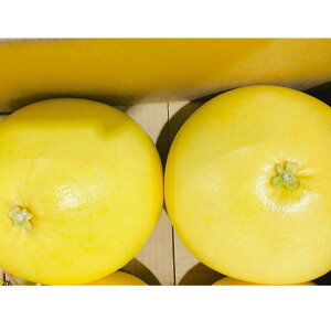 F{Y ӔM ΂؂ Di 2 (3kg4kg)y002zt[c 蕨 Ε Mtg F{ Y   F{ k k