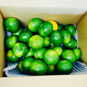 yIʗ 󂠂菤iz Y   KiO ƒp s Hpy002zbNX h hJr bNXsgp _ B F{ 